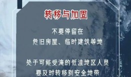 最新台风爆料新闻报道内容,揭秘超强台风路径与影响范围”